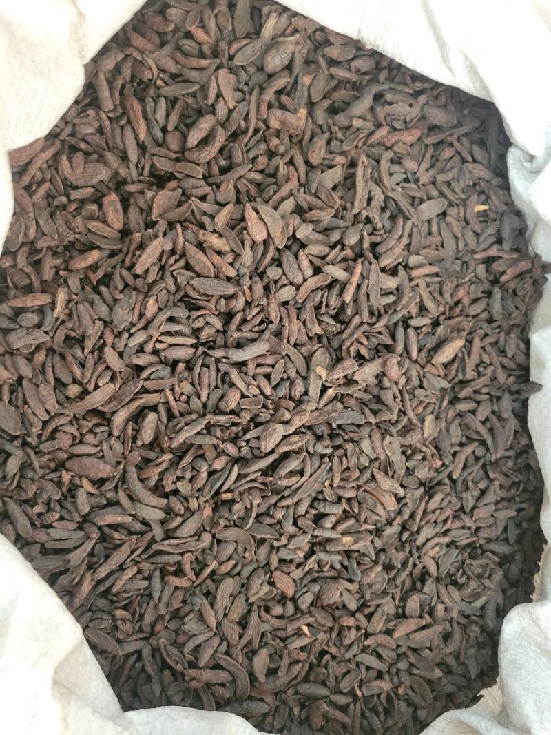 炒香附醋香附香附片多种规格大货供应七彩百草中药材
