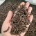 炒香附醋香附香附片多种规格大货供应七彩百草中药材
