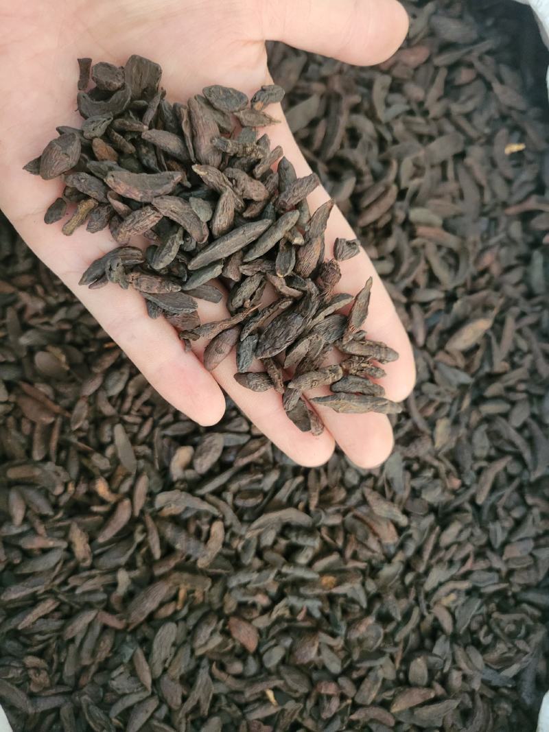 炒香附醋香附香附片多种规格大货供应七彩百草中药材