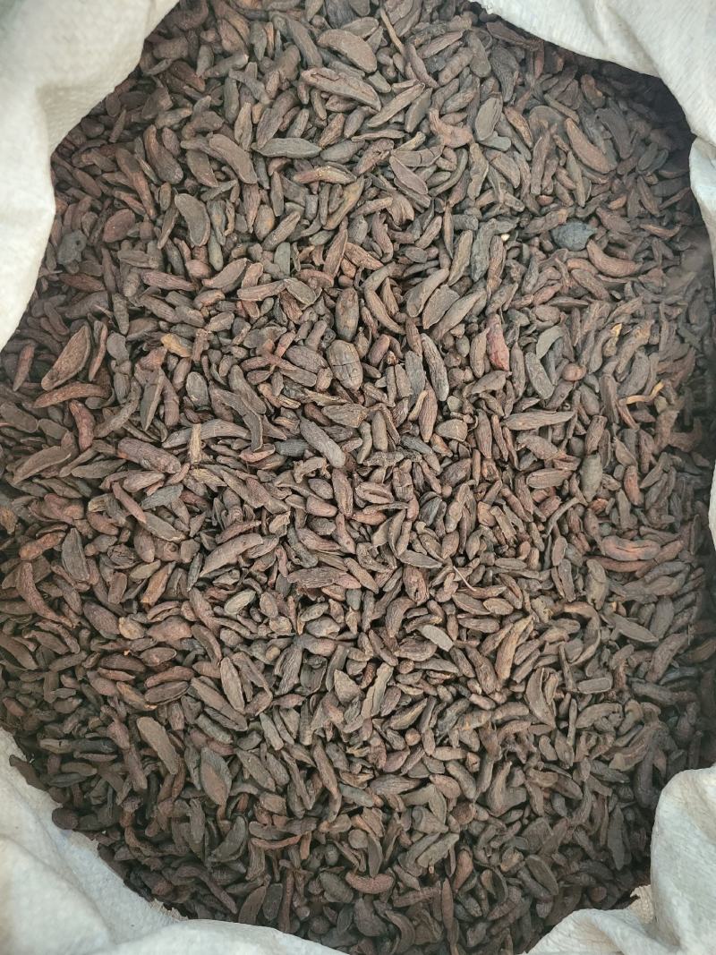 炒香附醋香附香附片多种规格大货供应七彩百草中药材