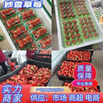 奶油草莓，精品妙香价格低，口感好，果型好，保质保量