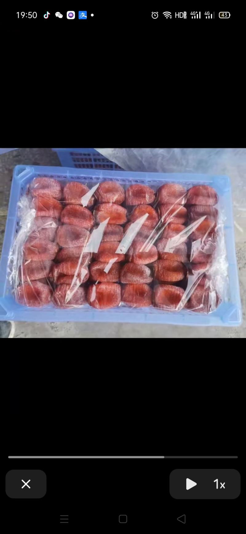平乐柿饼大量上市产地直发保质保量一手货源欢迎致电