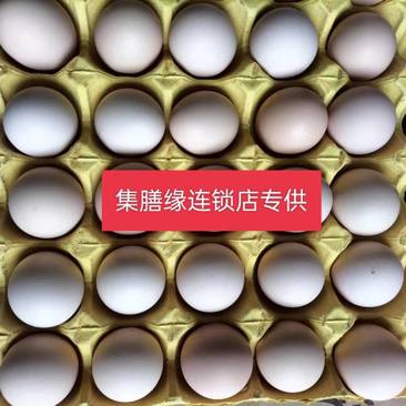 山东富硒鸡蛋厂家直发品质保证欢迎客户来电咨询