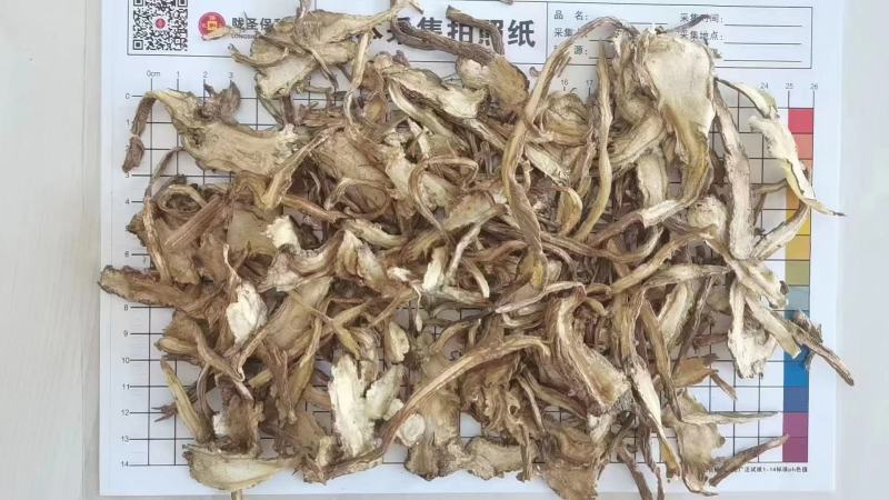 当归全归片