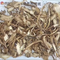 当归全归片