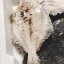 深海单冻鲽鱼无污染食堂酒店礼盒超市供应都可以用回头率高