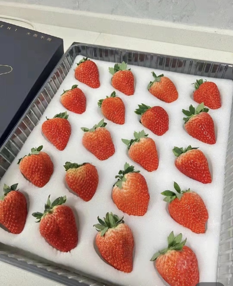 徐州宁玉草莓10.20上市