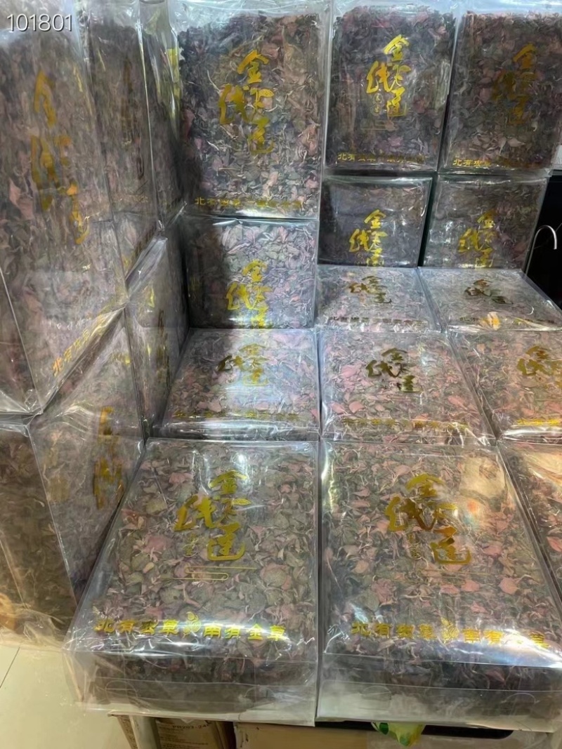 金线莲