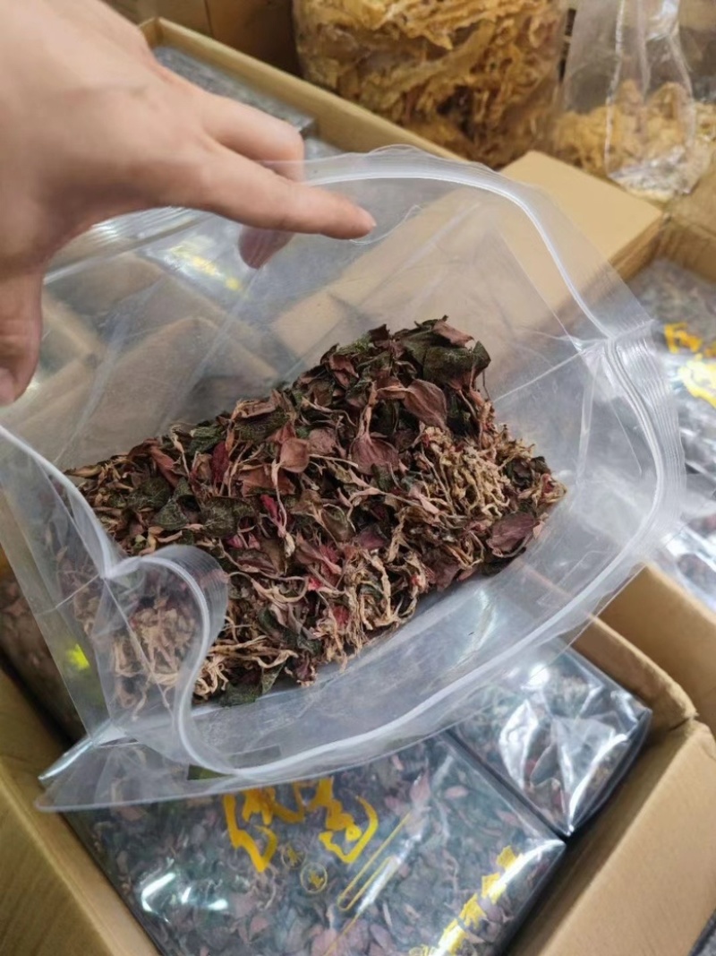 金线莲