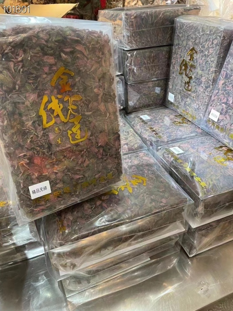 金线莲