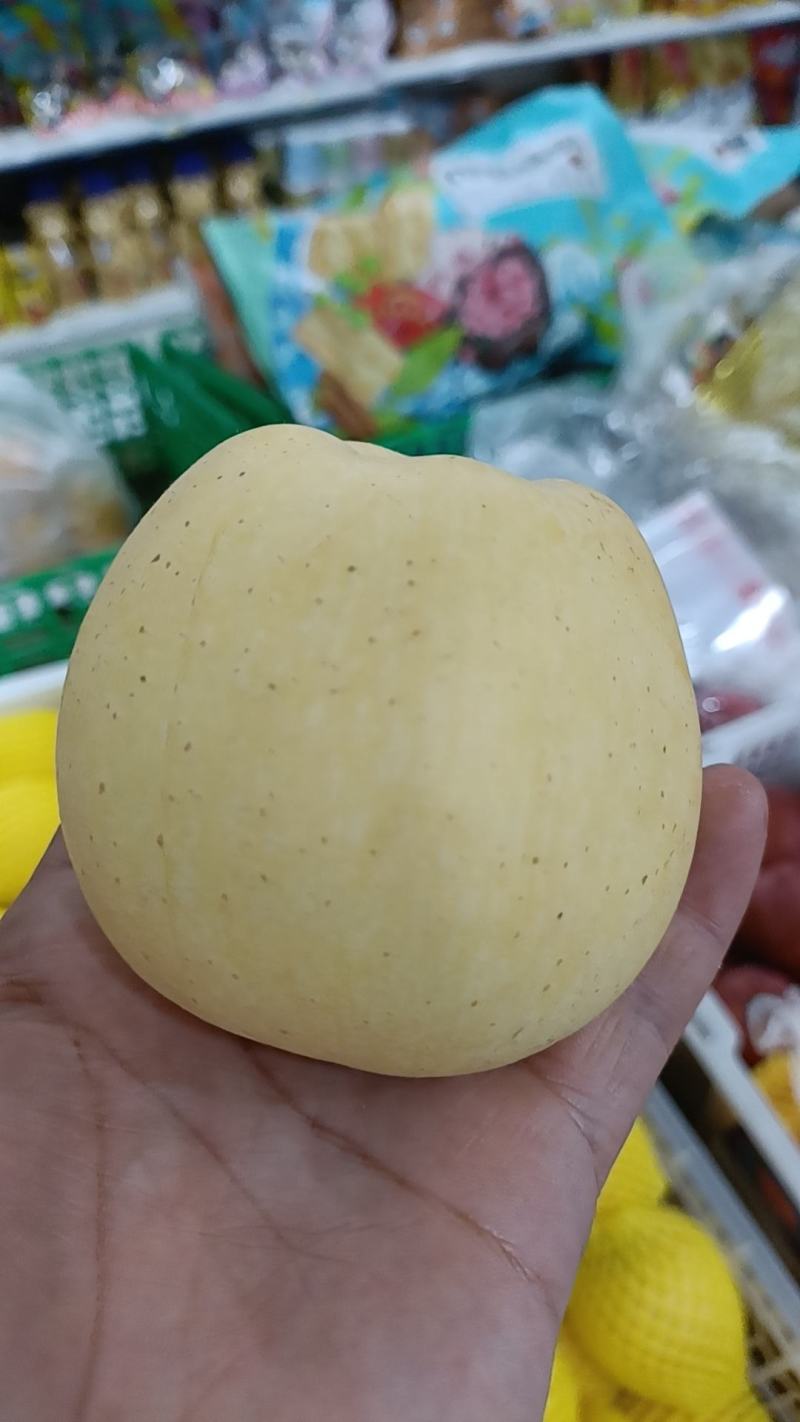 维纳斯黄金苹果大量现货，可视看货，可开票