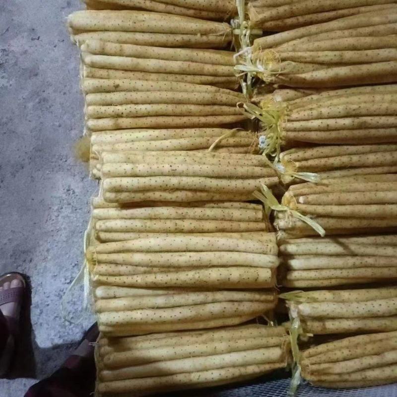 【专注电商】麻山药，棒山药，紫药双棒产地货源直发欢迎采购