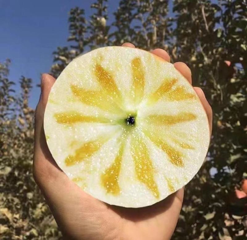 阿克苏苹果，大量上市欢迎对接，商超，批发市场，社区团购。