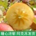 阿克苏苹果，大量上市欢迎对接，商超，批发市场，社区团购。