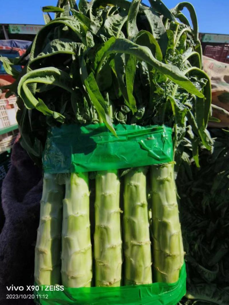 精品青皮莴笋莴苣产地直发品质保证量大从优全国发货