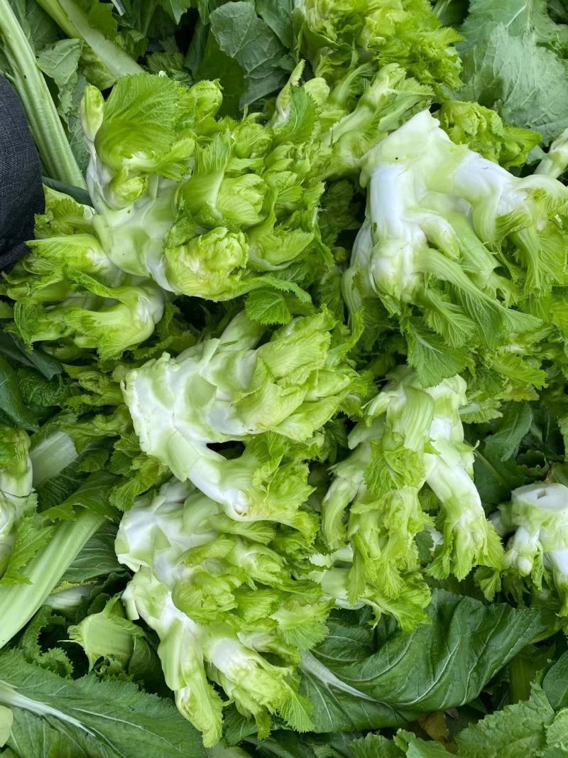 新鲜蔬菜代收