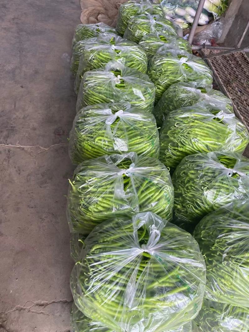 新鲜蔬菜代收