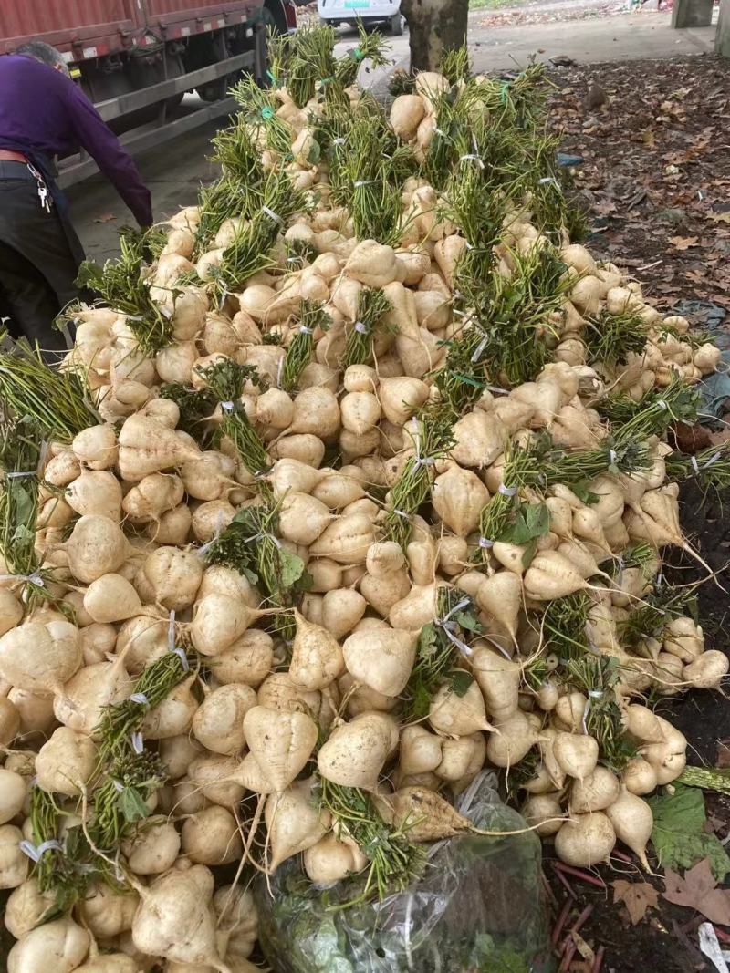 新鲜蔬菜代收