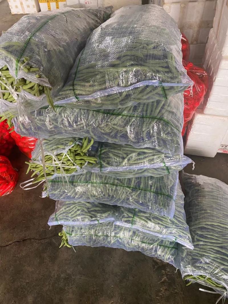 新鲜蔬菜代收