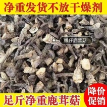 包邮【没有干燥剂】鹿茸菇嫩仔鹿茸菌鹿耳菇蛹虫草菌菇煲汤