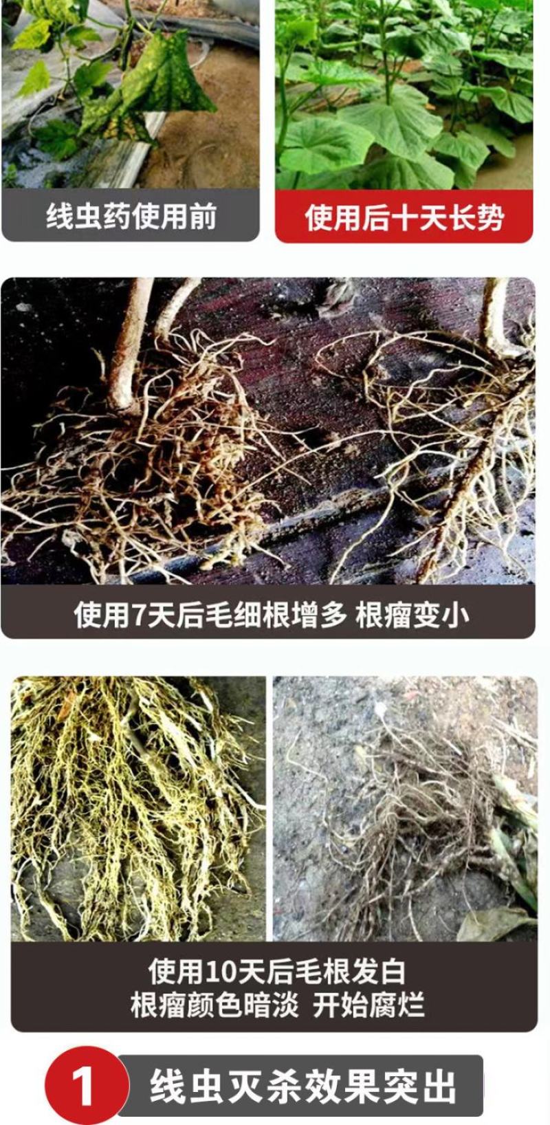 根结线虫专用药杀大棚黄瓜番茄线虫药淡紫紫孢菌噻唑膦路富达