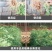 根结线虫专用药杀大棚黄瓜番茄线虫药淡紫紫孢菌噻唑膦路富达