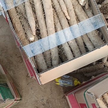 精品山药电商货供批发市场质量好可视频看货诚信经营