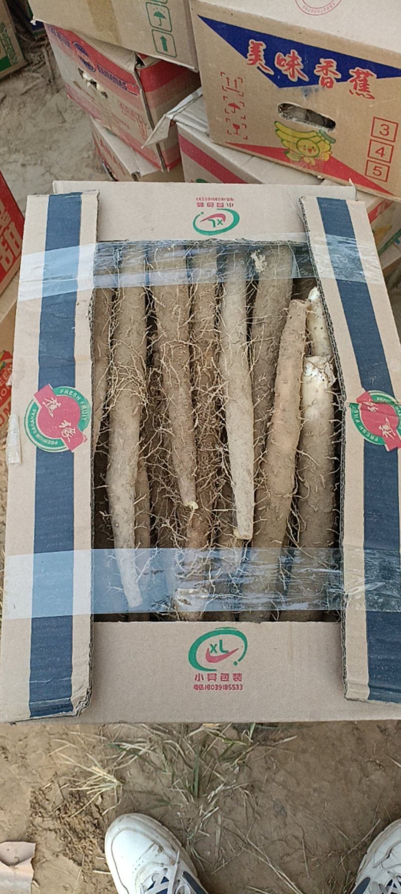 精品山药电商货供批发市场质量好可视频看货诚信经营