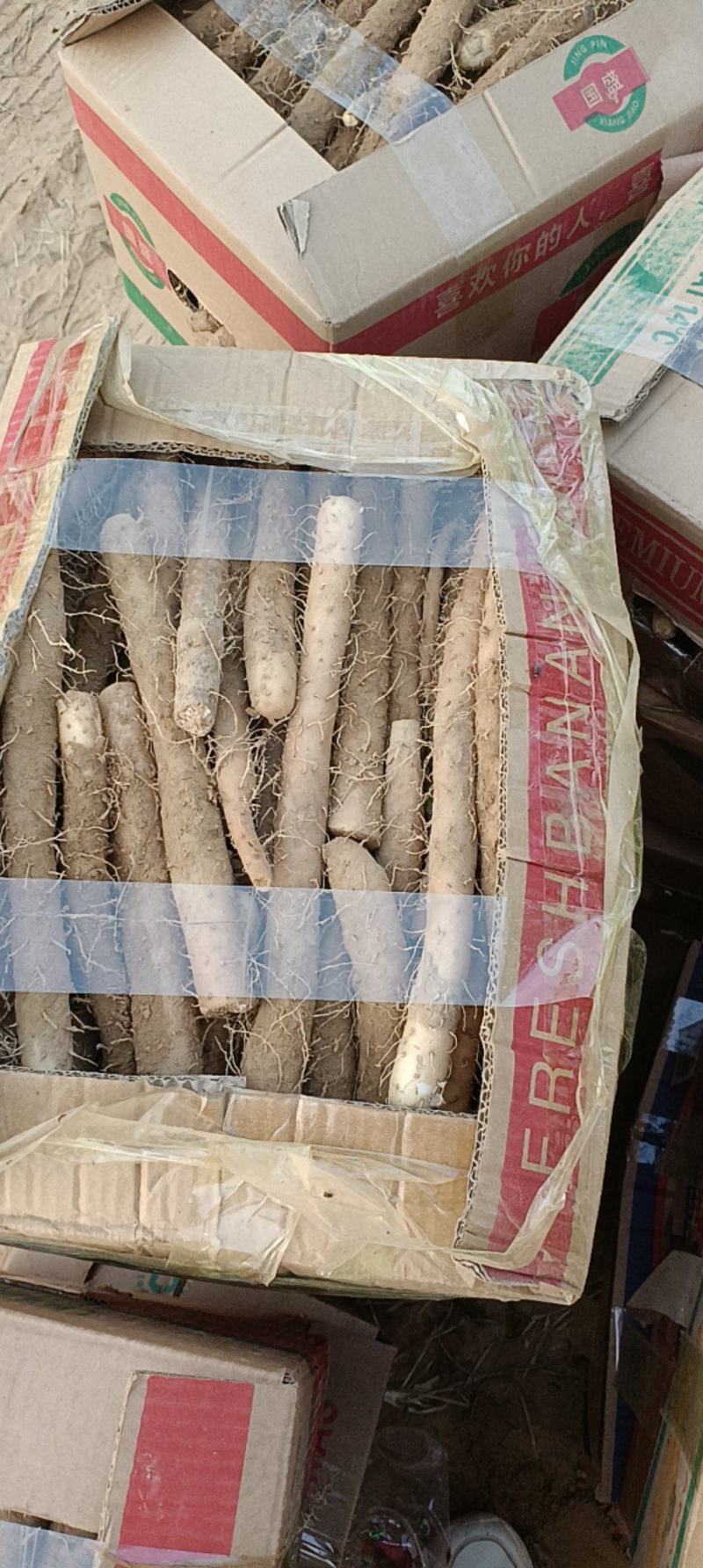 精品山药电商货供批发市场质量好可视频看货诚信经营