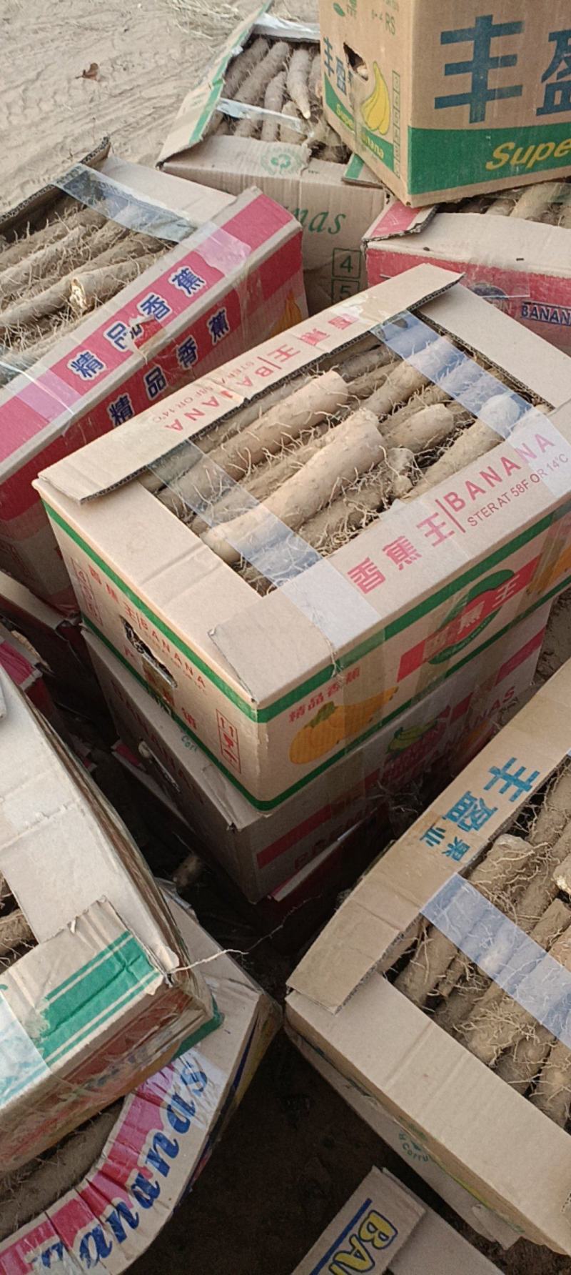 精品山药电商货供批发市场质量好可视频看货诚信经营
