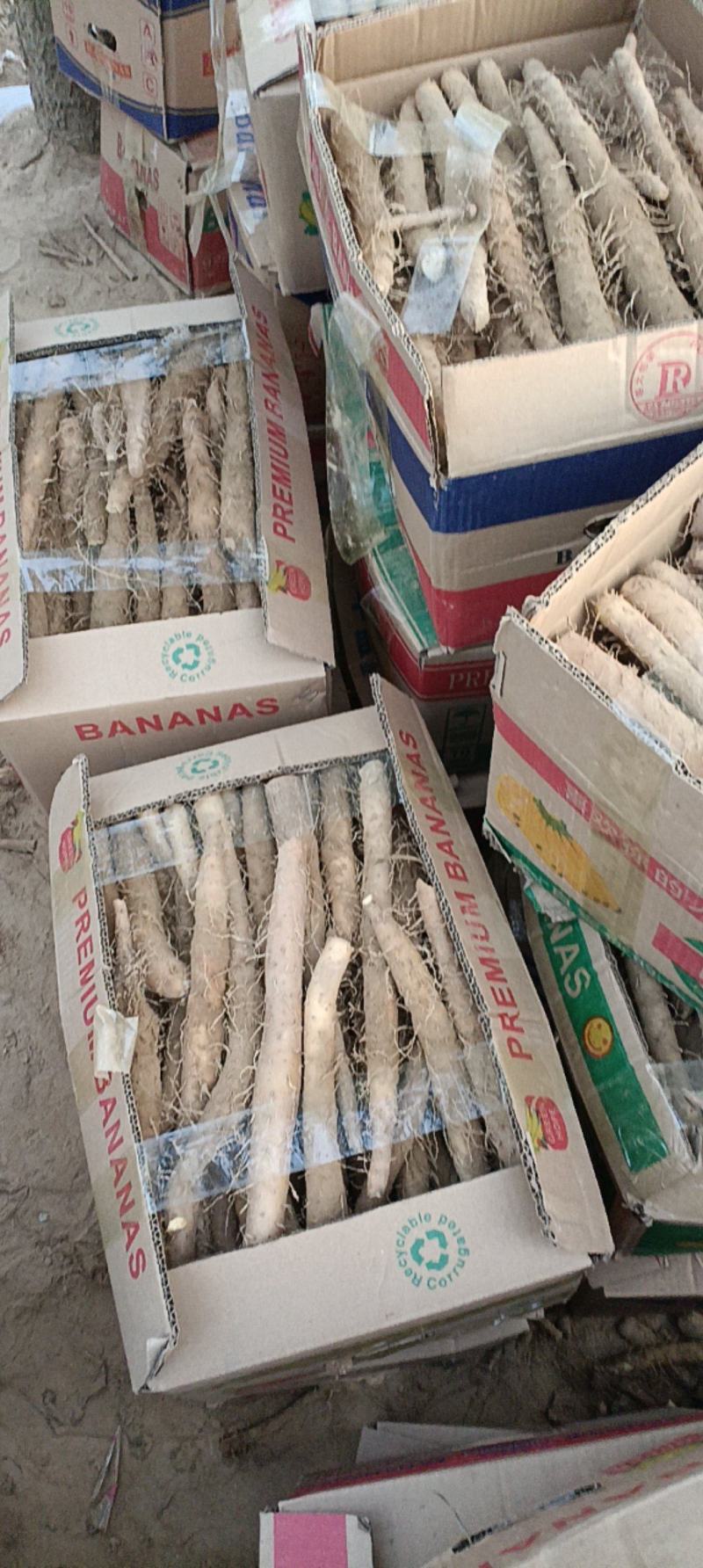 精品山药电商货供批发市场质量好可视频看货诚信经营