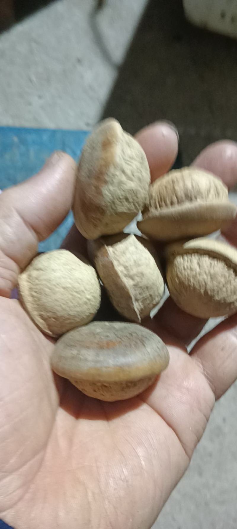 【优选】风流果品质保证对接全国欢迎下单