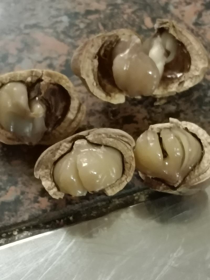 【优选】风流果品质保证对接全国欢迎下单