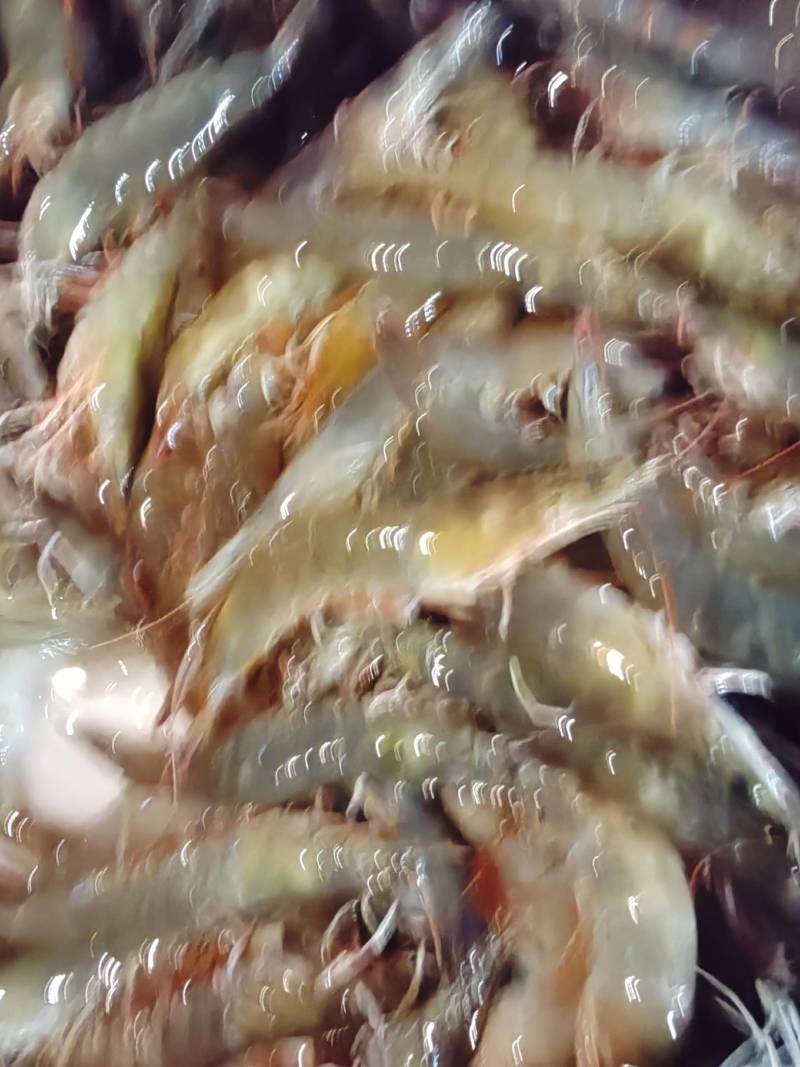 基围虾