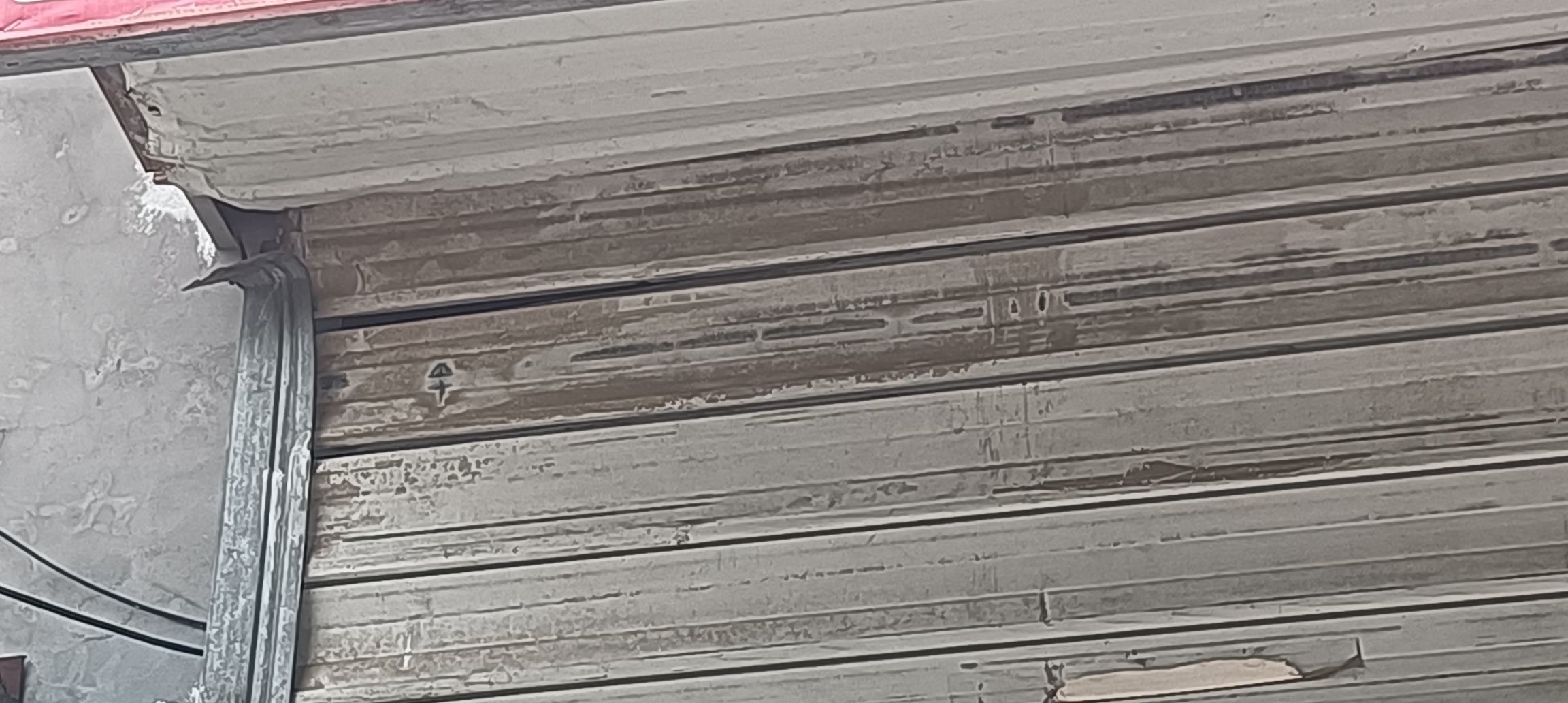 红酥梨切面图,展示其细腻洁白的果肉与均匀的纹理 红酥梨切开展示果肉细节