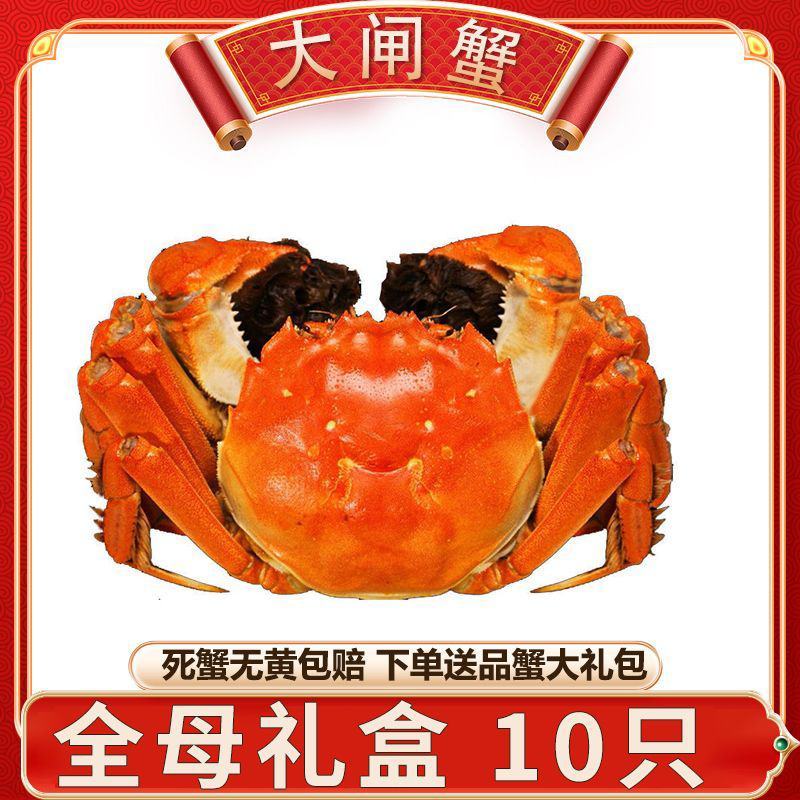 全母鲜活大闸蟹特大螃蟹现货全公母蟹海鲜水产礼盒阳澄湖镇