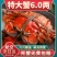 全母鲜活大闸蟹特大螃蟹现货全公母蟹海鲜水产礼盒阳澄湖镇