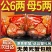 全母鲜活大闸蟹特大螃蟹现货全公母蟹海鲜水产礼盒阳澄湖镇