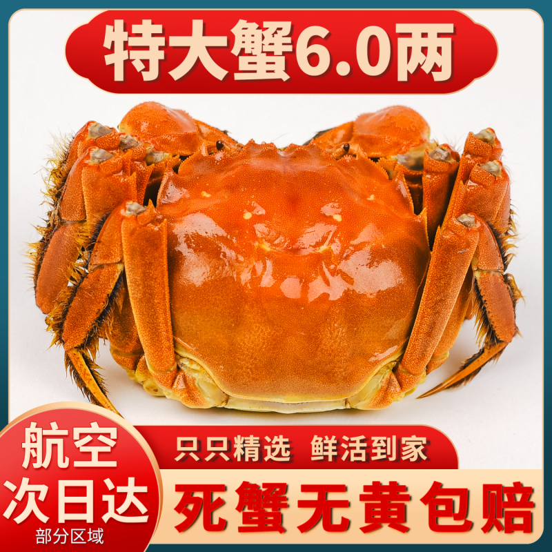 全母鲜活大闸蟹特大螃蟹现货全公母蟹海鲜水产礼盒阳澄湖镇