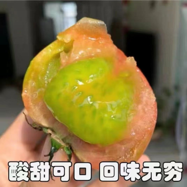 草莓柿子，草莓西红柿，铁皮柿子，大量现货精品