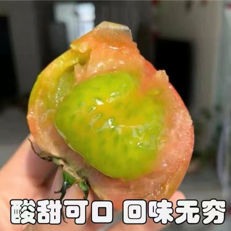 草莓柿子，草莓西红柿，铁皮柿子，大量现货精品
