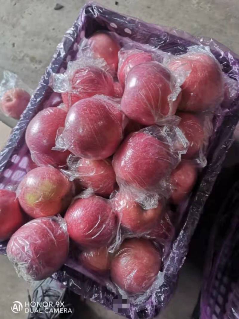 精品山西万荣纸夹膜冰糖心大量上市，个大脆甜，货源充足！
