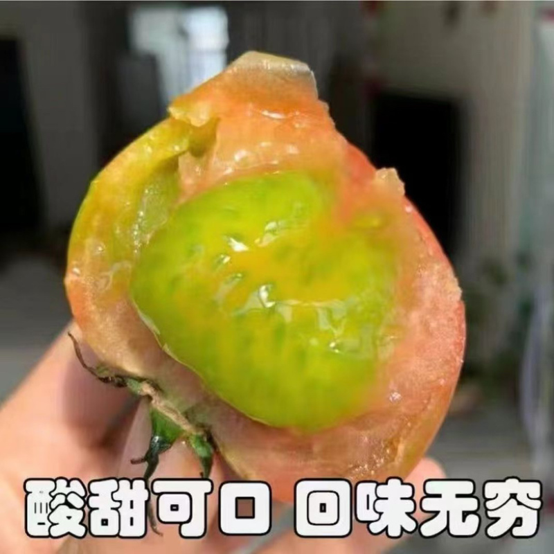 草莓柿子，草莓西红柿，铁皮柿子，大量现货精品