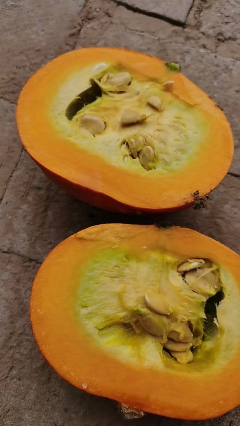 红南瓜，黄金二号
