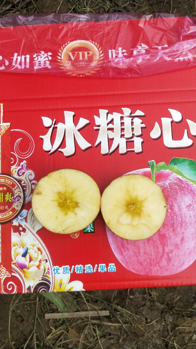 精品山西万荣纸夹膜冰糖心大量上市，个大脆甜，货源充足！