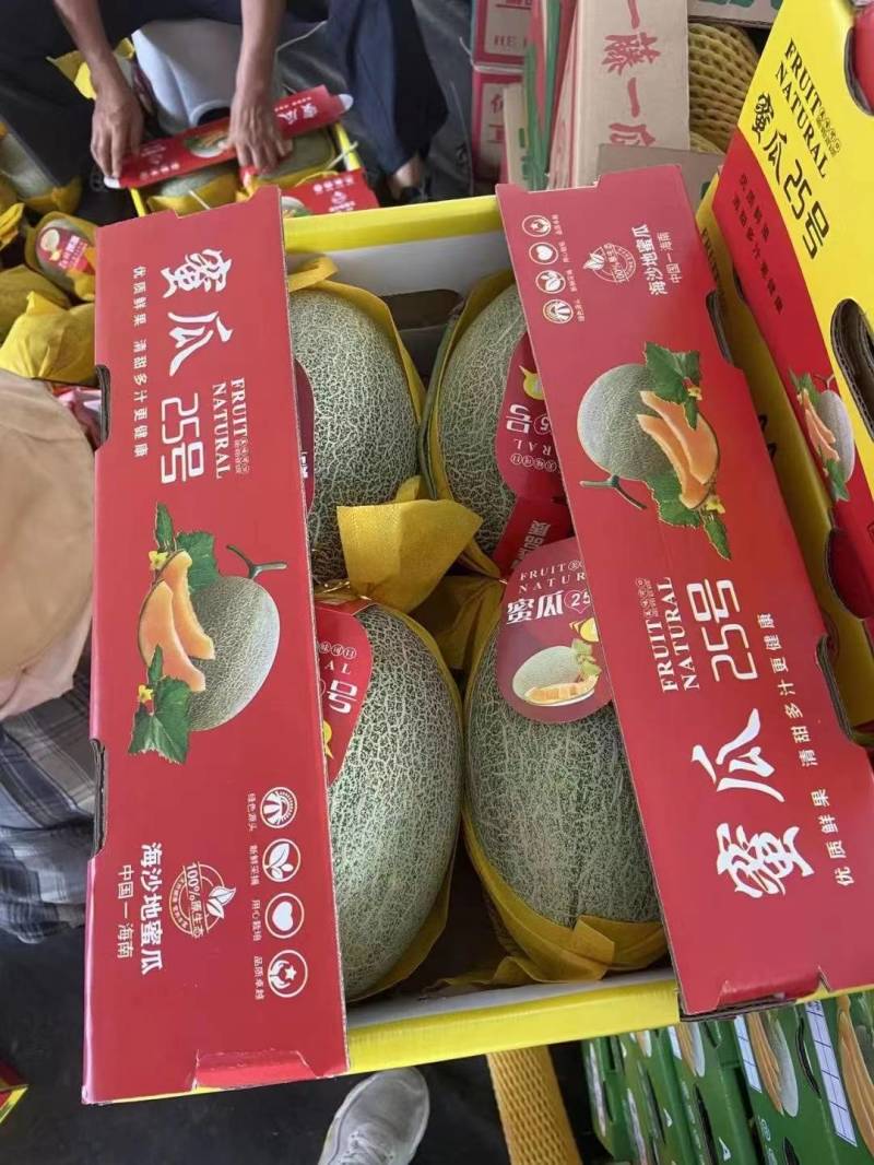 【精品哈密瓜】晓蜜25新疆产地直供市场商超欢迎来电咨询