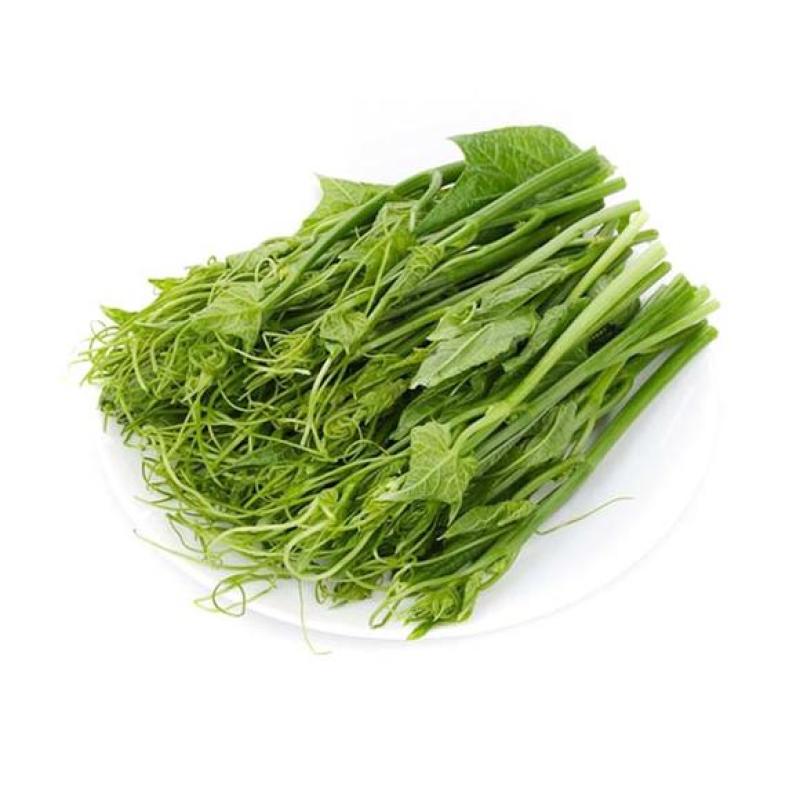 龙须菜，