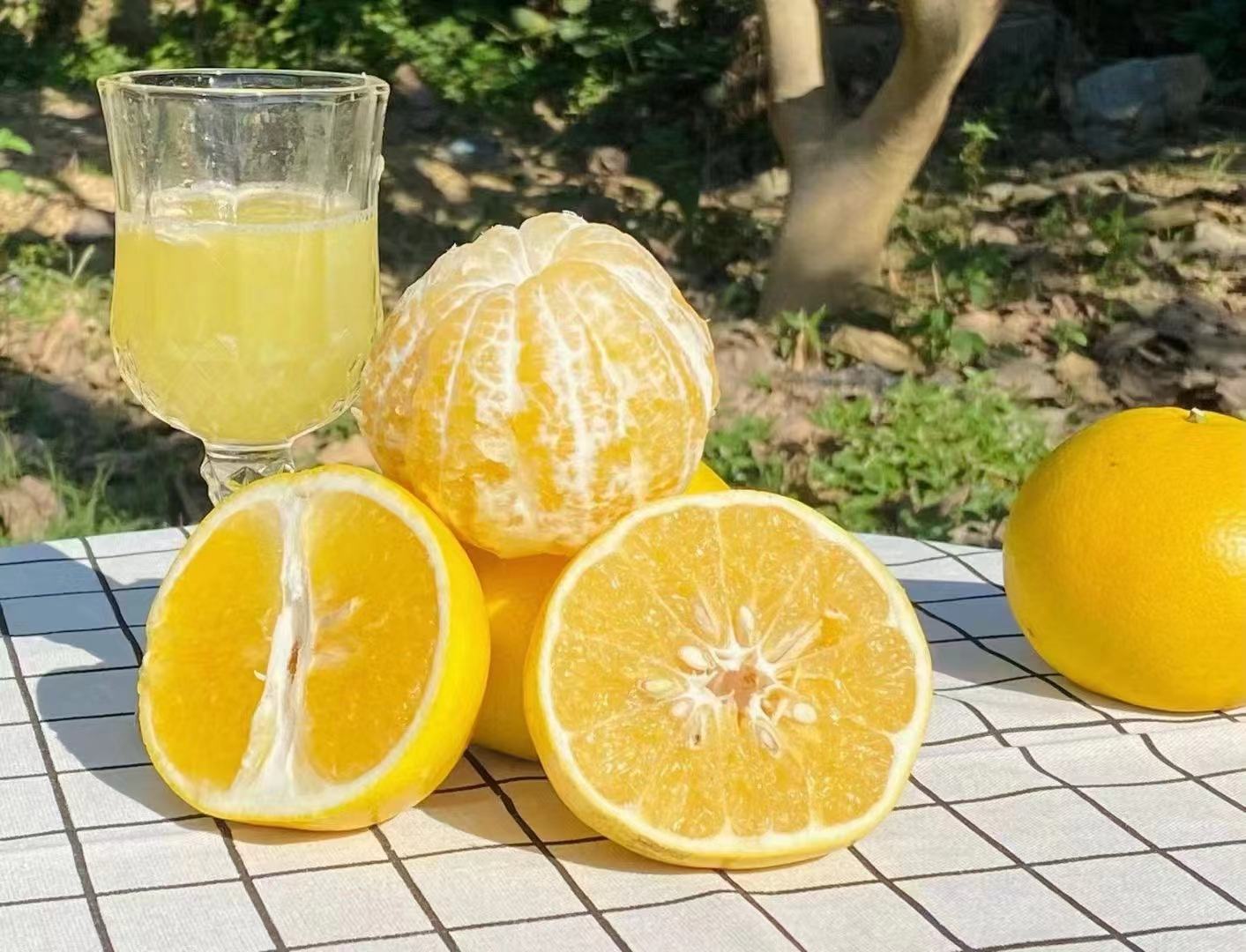 展示黄金葡萄柚与燕麦、坚果等搭配的健康早餐组合 黄金葡萄柚与早餐搭配图