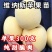 果园直发苹果苗新品种维纳斯黄金苹果王林保真正品成活率