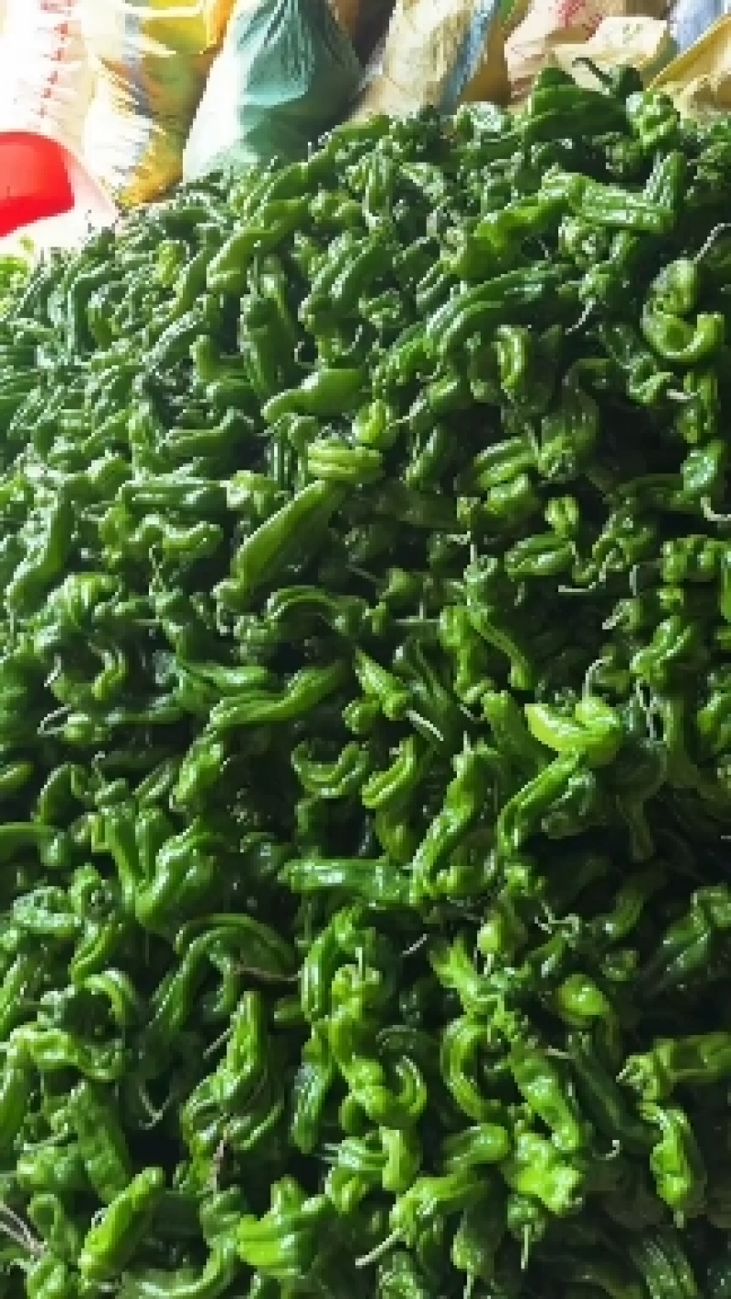 夏邑301辣椒️线椒️螺丝椒️苏椒️湘辛规格齐全发货快